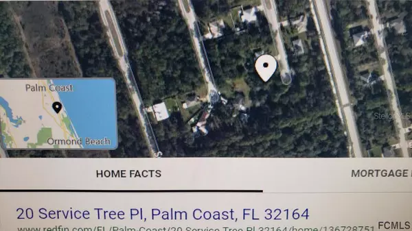 Palm Coast, FL 32164,20 SERVICE TREE PL