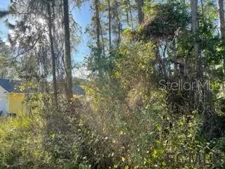 Palm Coast, FL 32164,4 RYECORN PL