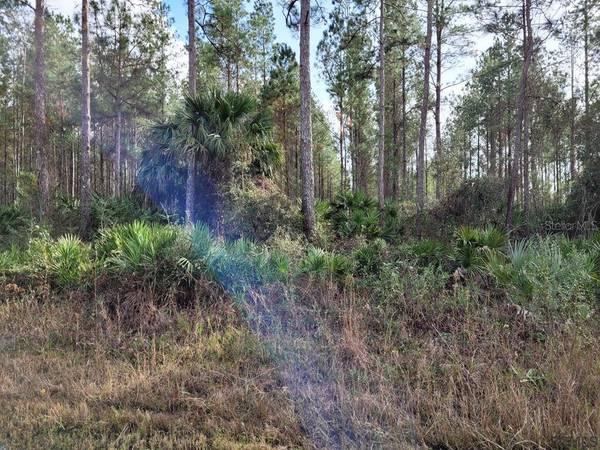 000C COUNTY ROAD 302, Bunnell, FL 32110