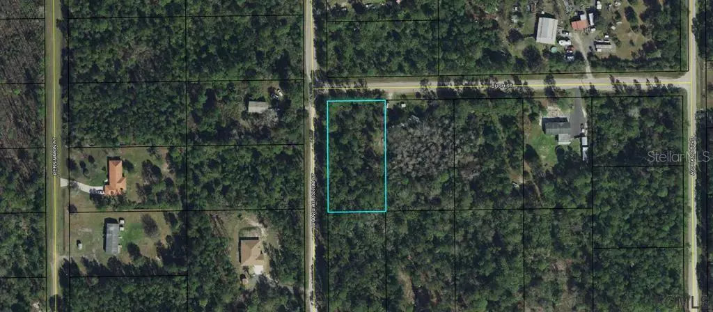 6131 BUSH ST, Bunnell, FL 32110