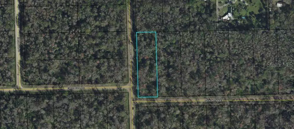 3936 EVERGREEN AVE, Bunnell, FL 32110