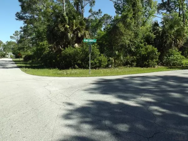 Palm Coast, FL 32164,2 PINE CROFT LN