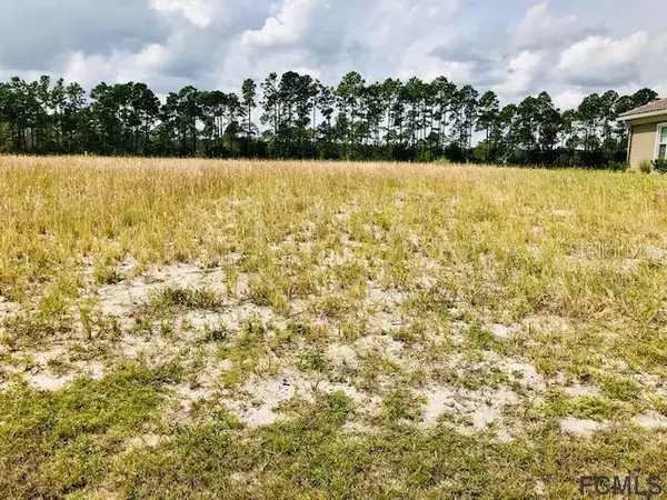 426 BOURGANVILLE DR, Palm Coast, FL 32137