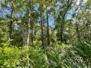 Hastings, FL 32145,4715 MELANIE ST