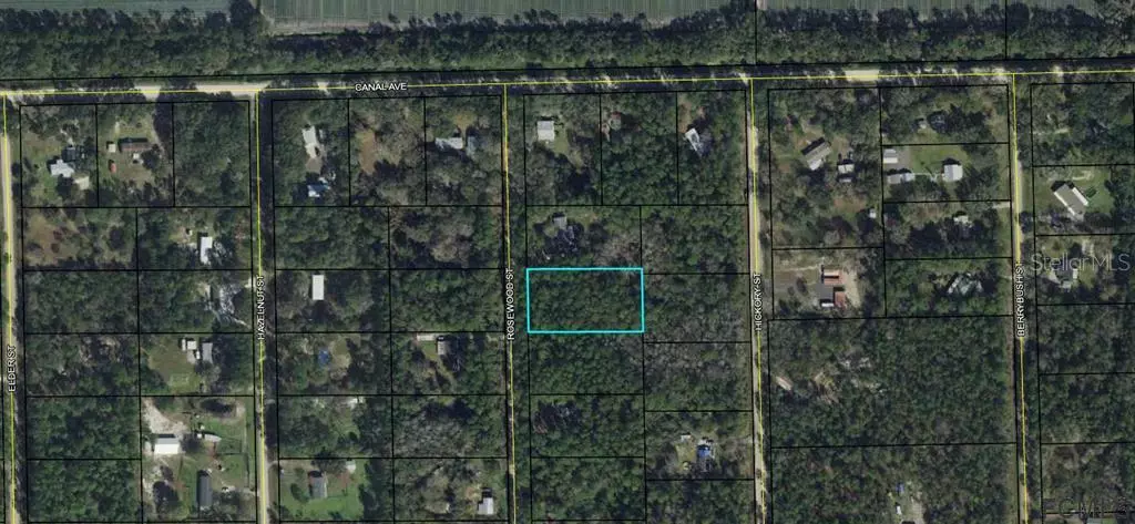 Bunnell, FL 32110,1103 ROSEWOOD ST