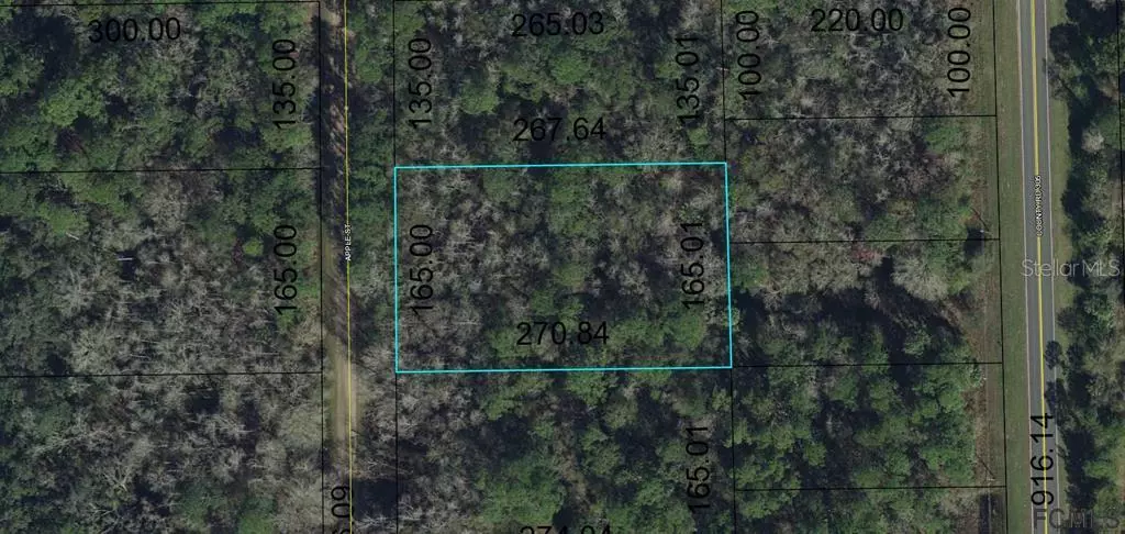 2302 APPLE ST, Bunnell, FL 32110