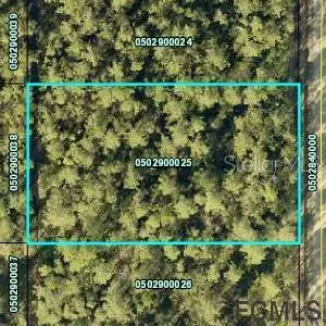 9975 AMOS AVE, Hastings, FL 32145