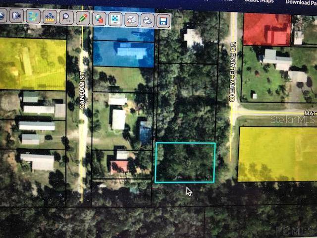 294 CHERYL ELAINE DR, Bunnell, FL 32110