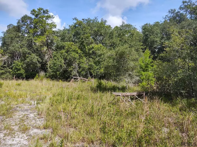 118 PLANET DR, Crescent City, FL 32112