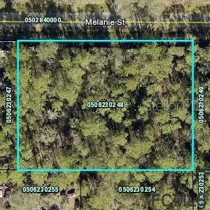 Hastings, FL 32145,4725 MELANIE ST