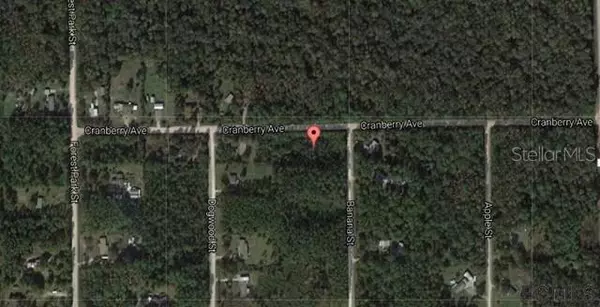 Bunnell, FL 32110,3754 CRANBERRY AVE