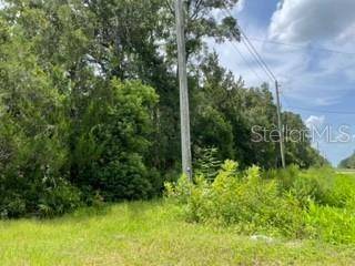 XXXX CR 305, Bunnell, FL 32110
