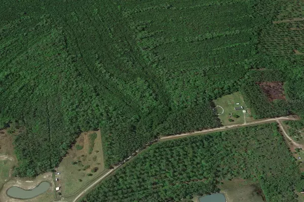 Glen St Mary, FL 32040,Lot 20 SWEET GUM RD