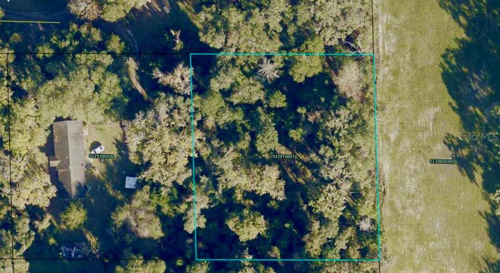 1781 N HICKORY LN, Elkton, FL 32033