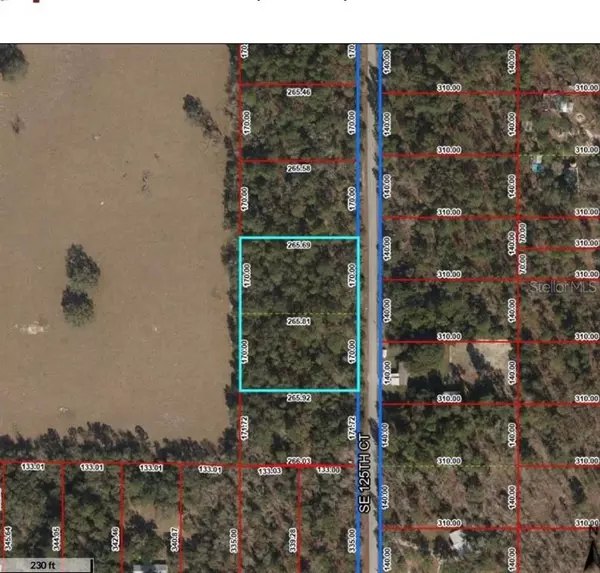 TBD SE 125TH CT,  Dunnellon,  FL 34431