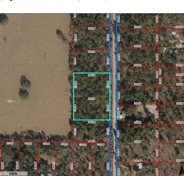 TBD SE 125TH CT, Dunnellon, FL 34431