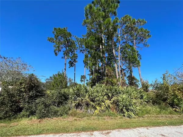 92 FORSYTHE LN,  Palm Coast,  FL 32137