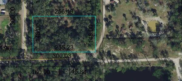 3143 SASSAFRAS LN, Bunnell, FL 32110