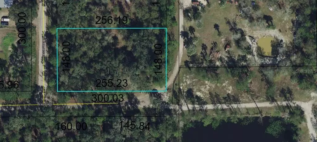 3143 SASSAFRAS LN, Bunnell, FL 32110