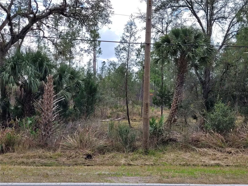 Bunnell, FL 32110,000E CR 302