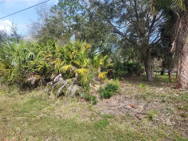 Palm Coast, FL 32164,67 ROSE DR