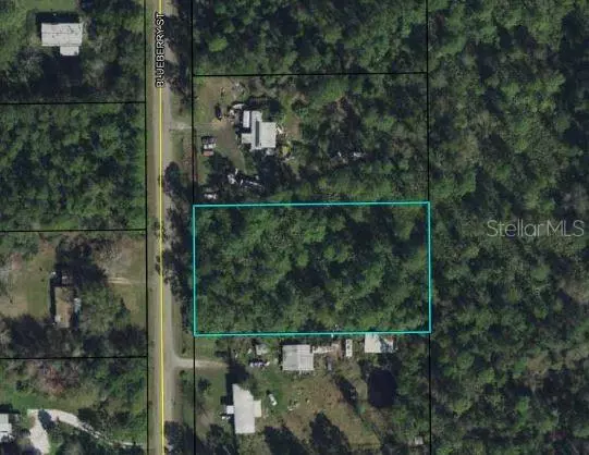 Bunnell, FL 32110,2315 BLUEBERRY ST