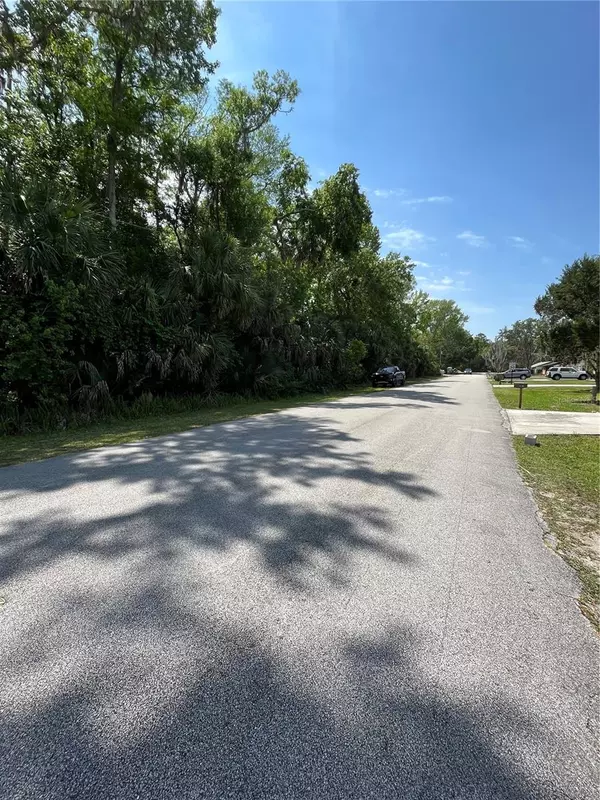 Palm Coast, FL 32137,142 BLARE DR