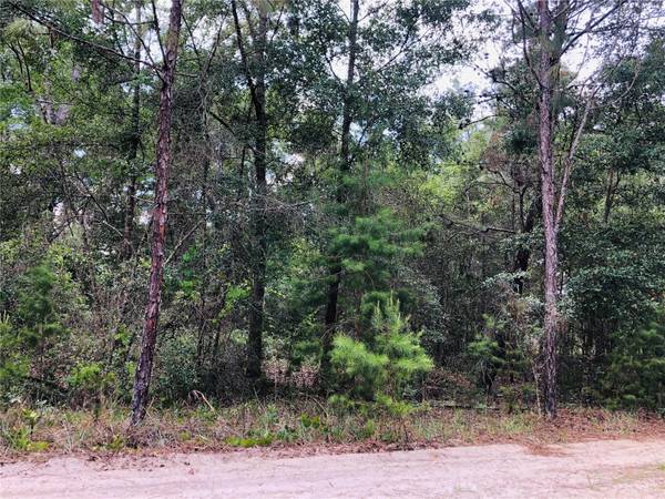 409 RUSTIC RD, Satsuma, FL 32189