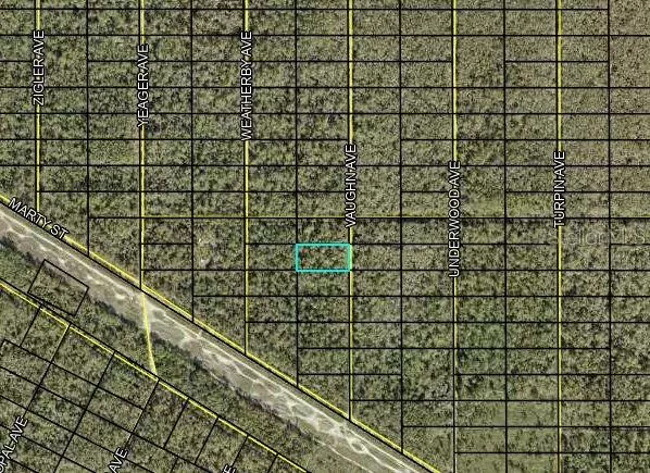 VAUGHN AVE, Hastings, FL 32145