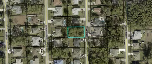 Palm Coast, FL 32137,33 BRESSLER LN