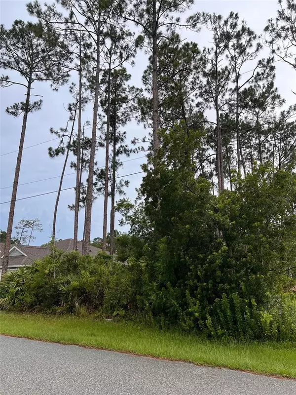 Palm Coast, FL 32164,10 LLOLEETA PATH