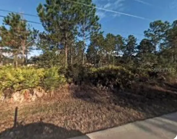 11 SEATON VALLEY PATH, Palm Coast, FL 32164