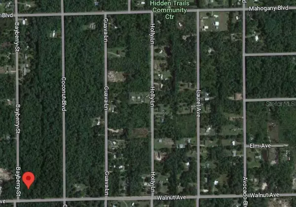 Bunnell, FL 32110,6540 WALNUT AVE