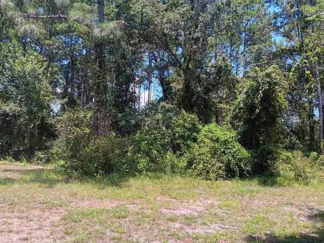 Satsuma, FL 32189,113 CLICK RD