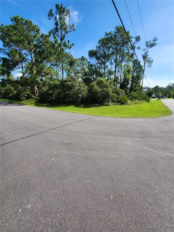 Palm Coast, FL 32164,2 ZAHAROFF PL