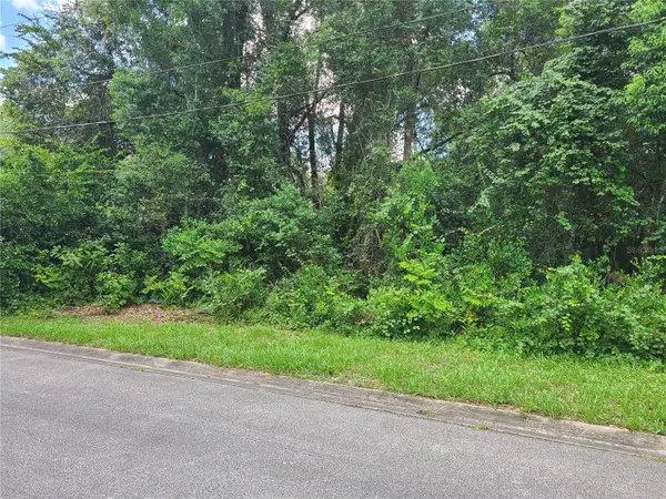 508 W WINNEMISSETT AVE, Deland, FL 32720