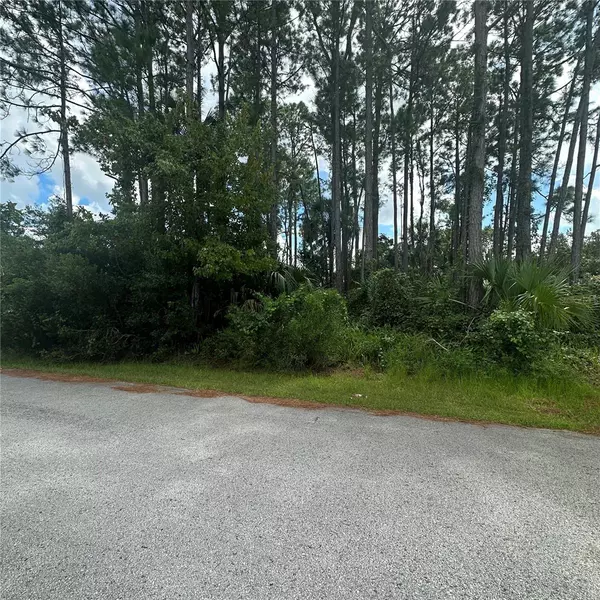 54 BARKLEY LN,  Palm Coast,  FL 32137