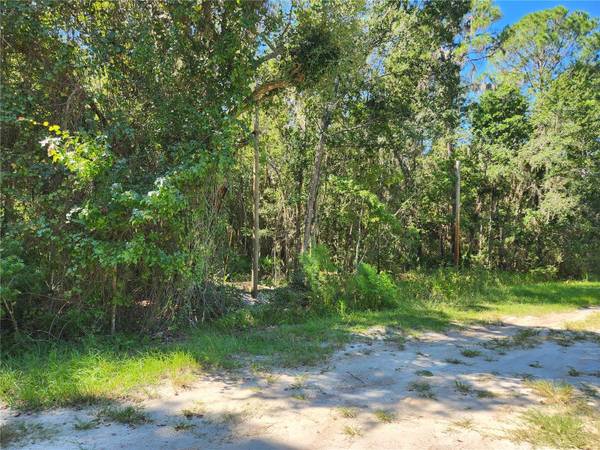 143 ATKINS ROAD, Georgetown, FL 32139