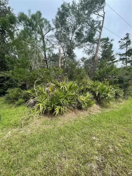 37 FIRCREST LN, Palm Coast, FL 32137