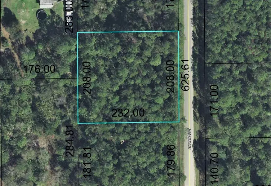 2914 AVOCADO BLVD, Bunnell, FL 32110