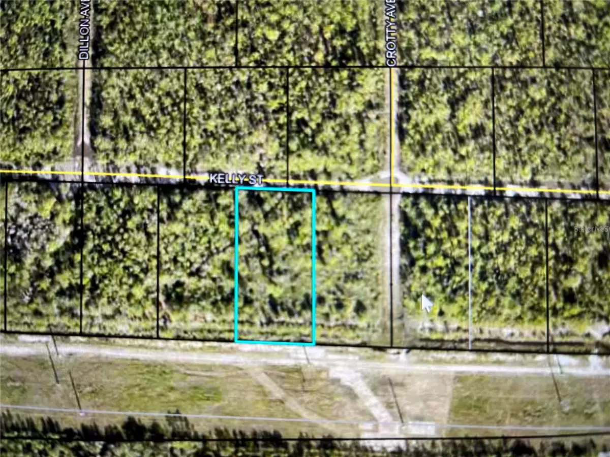 Hastings, FL 32145,XXX lot 1 TIPPIN ST