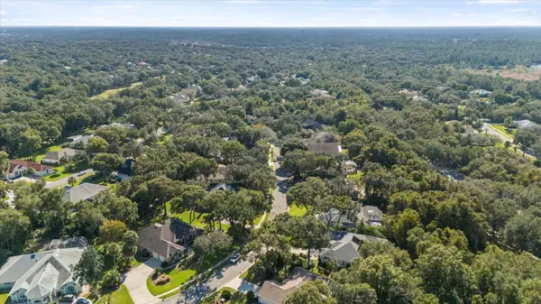 Ormond Beach, FL 32174,1325 WICKLOW LN