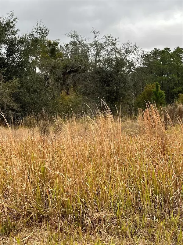 Crescent City, FL 32112,716 LIVE OAK LOOP