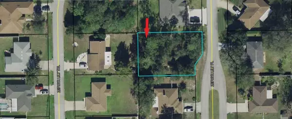 Palm Coast, FL 32164,4 ZEPHYR LILY PL