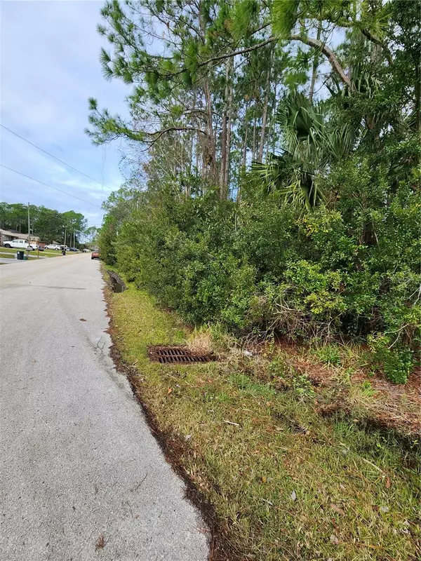 Palm Coast, FL 32137,2 BUNKER KNOLLS LN