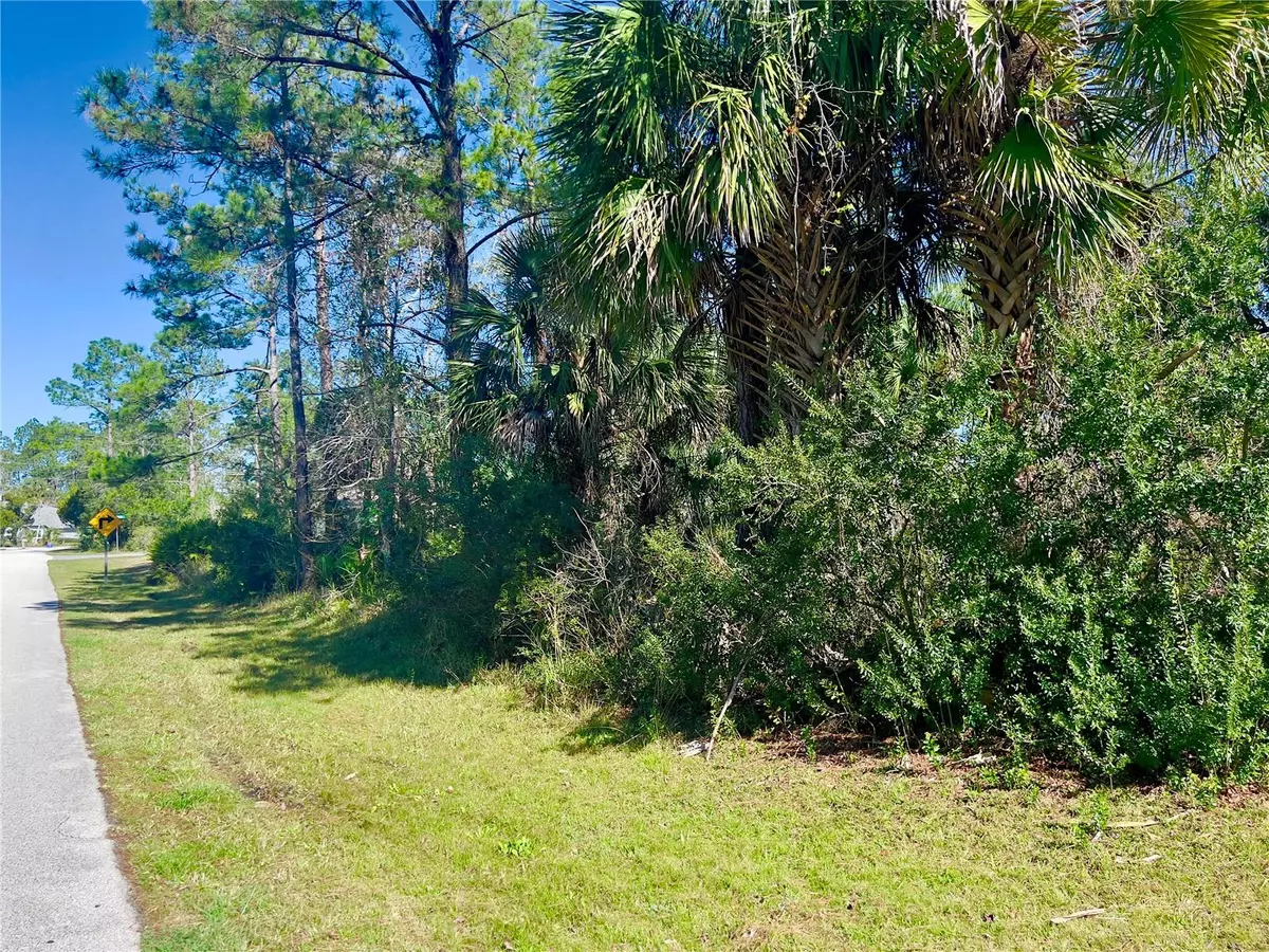 Palm Coast, FL 32164,1 PINE CROFT LN