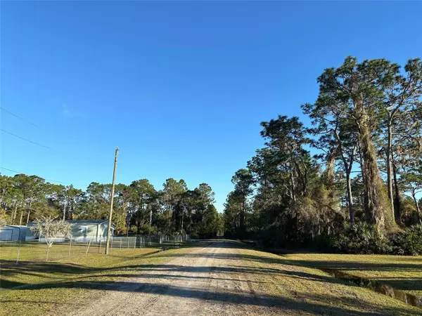 Georgetown, FL 32139,143 ROEBUCK ST