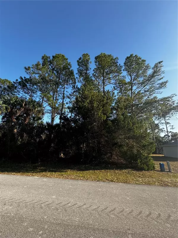 Palm Coast, FL 32164,67 SEDGWICK TRL