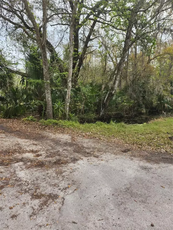 Edgewater, FL 32141,1093 VOLCO RD