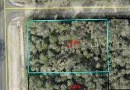 6665 WALNUT AVE, Bunnell, FL 32110